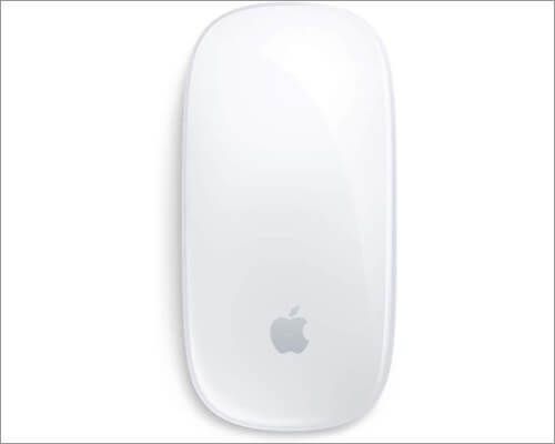 Apple Magic Mouse for iPad Pro