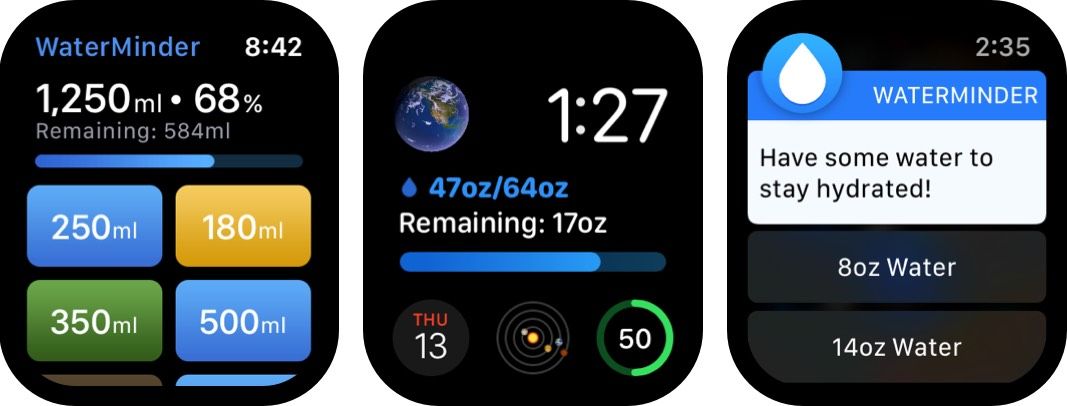 captura de pantalla de l’aplicació waterminder apple watch