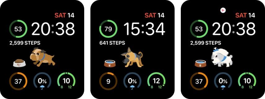 Zaslon zaslona aplikacije Apple Watch Health StepDog