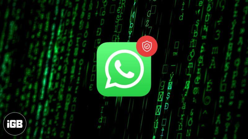 Nov pravilnik o zasebnosti WhatsApp 2021: odgovor na vsa vaša vprašanja