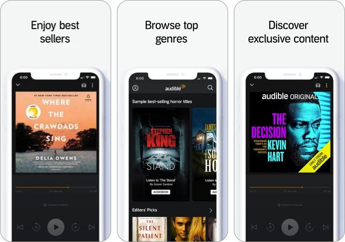 garsinės garso knygos „iphone ipad“ programos ekrano kopija
