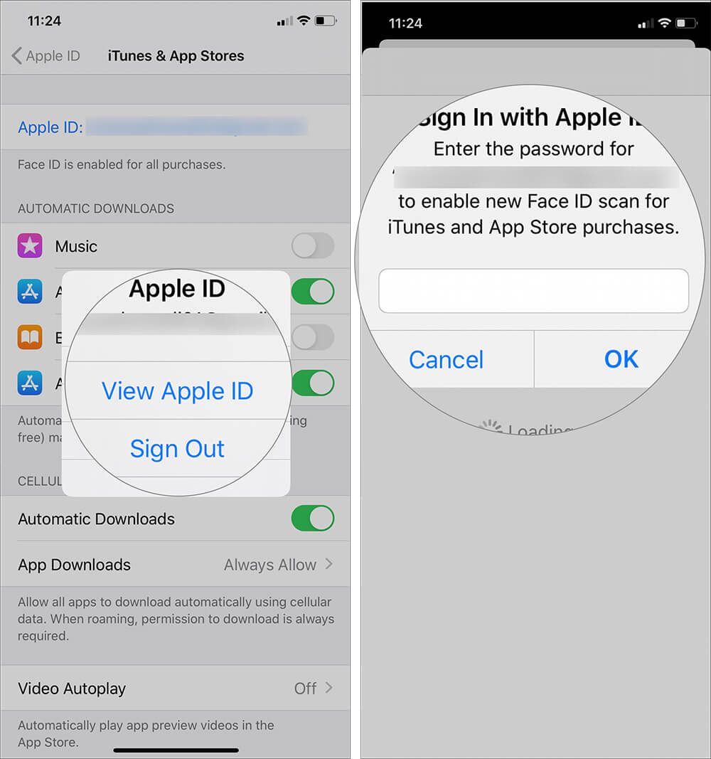 Trykk på Vis Apple ID og skriv inn Apple ID-passord for å fjerne kredittkort på iPhone