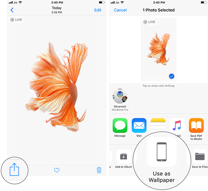 Bruk Live Fish Wallpaper i iOS 11 på iPhone