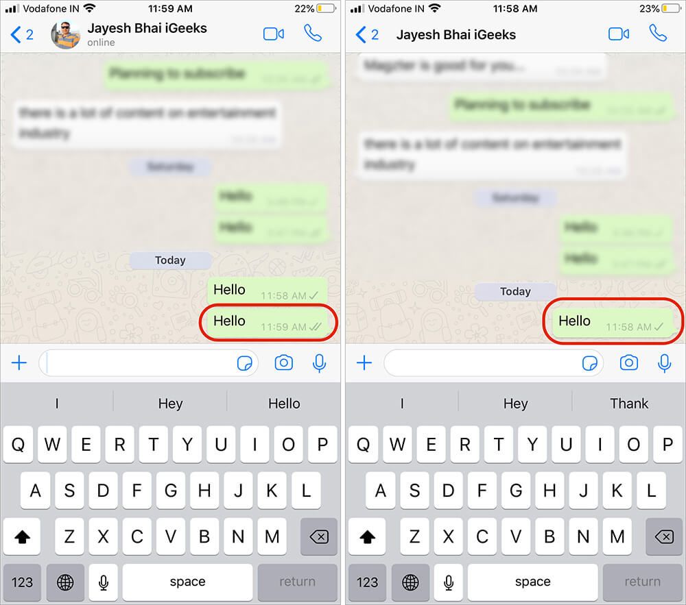 Comproveu el fil de missatge de tick gris a WhatsApp