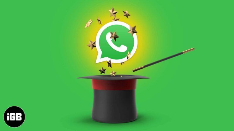 26 suggeriments i trucs de WhatsApp per a iPhone (2021)