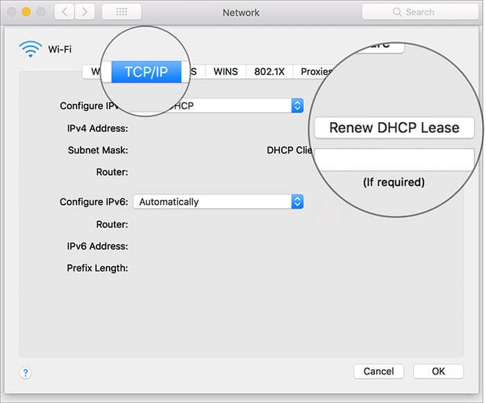 Velg Forny DHCP-leasing under TCP: IP-seksjon i Mac-nettverk