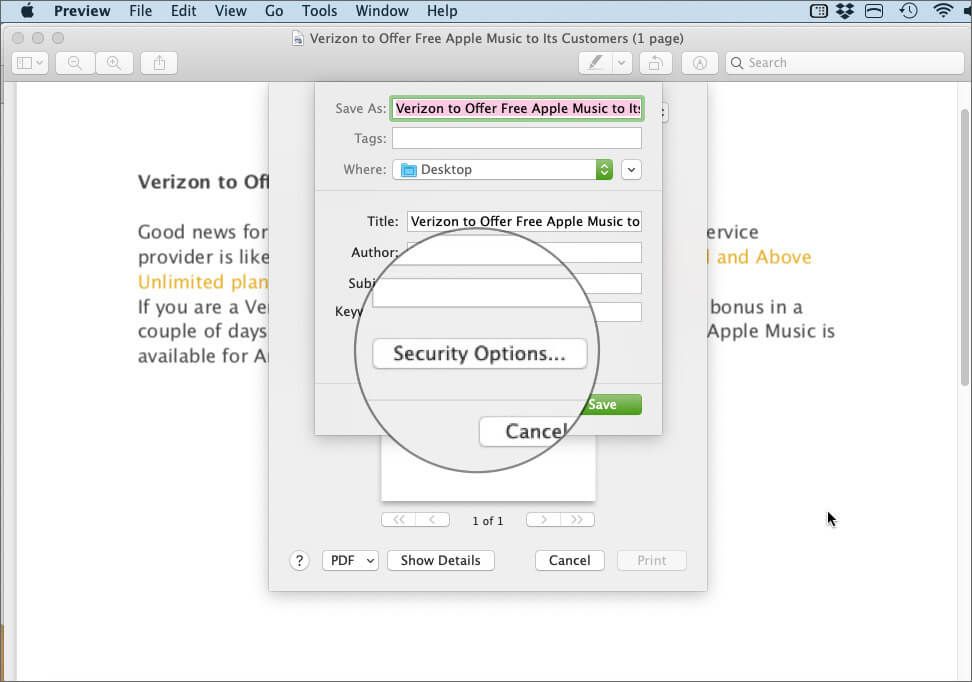 Klikk på Sikkerhetsalternativer i PDF Preview-appen på Mac