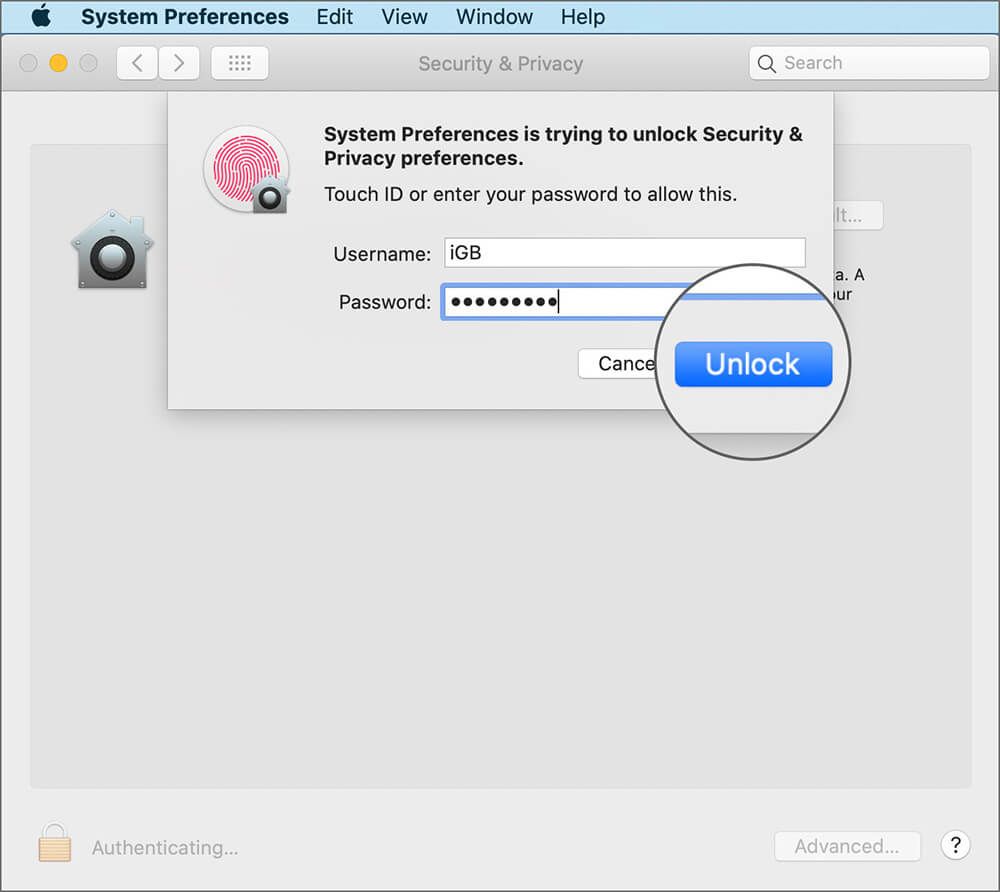 Usa la password per sbloccare FileVault su Mac