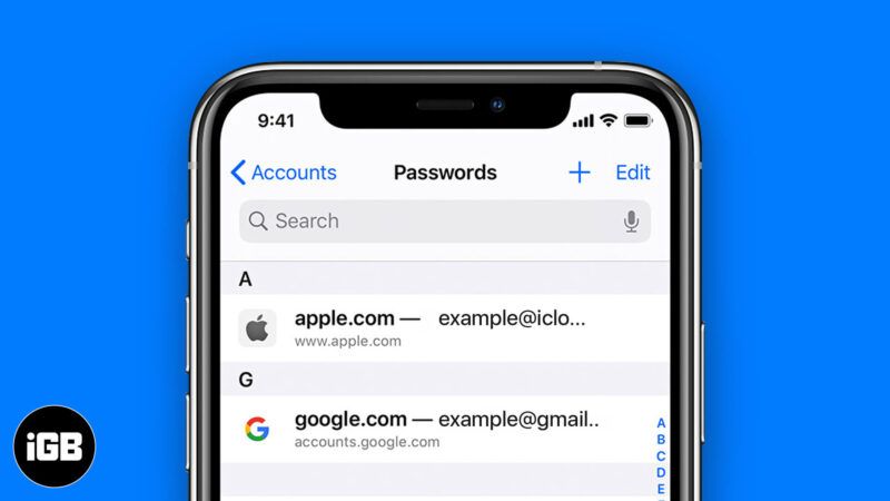 hvordan du finner lagrede passord på iPhone og iPad