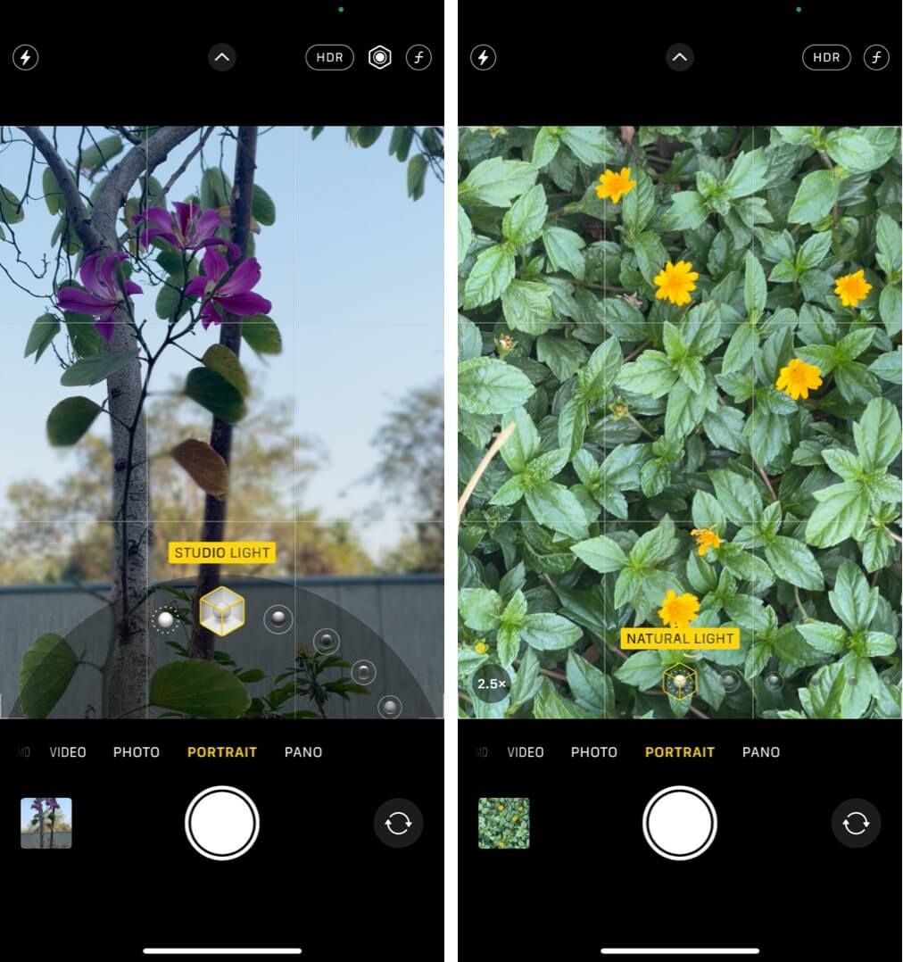 Fange blomstene i portrettmodus på iPhone 12 Pro