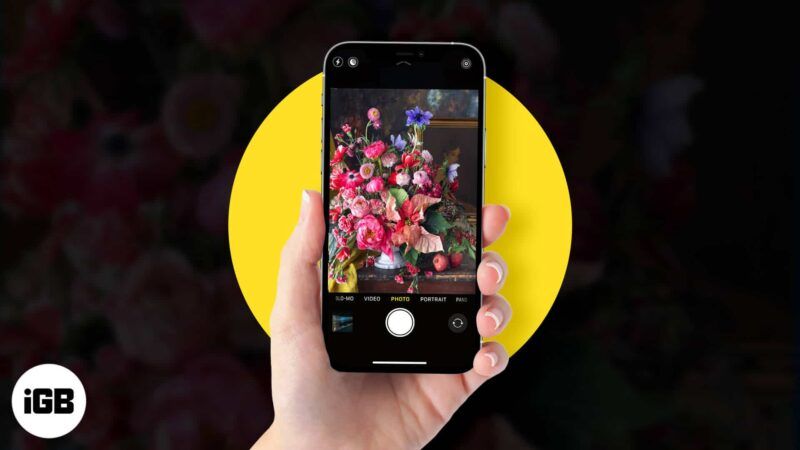 Tips om iPhone-blomsterfotografering: Ta det beste med iPhone 12 Pro-modeller