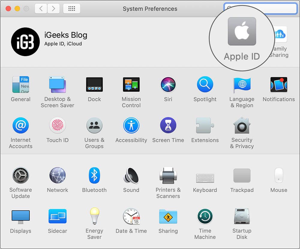 Klicka på Apple ID i Systeminställningar på Mac