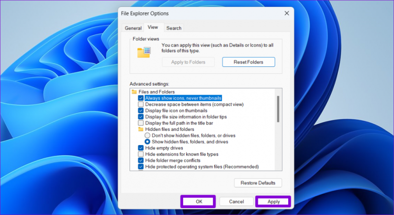   „File Explorer“ parinktys sistemoje „Windows“.