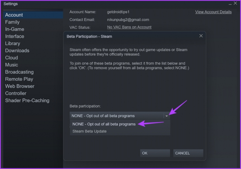  INGEN - Velg bort alle betaprogrammer-alternativet til Steam-klienten